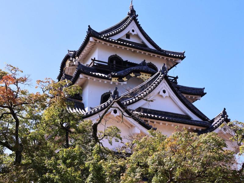 Toyoko Inn Hikone Eki Higashi Guchi image