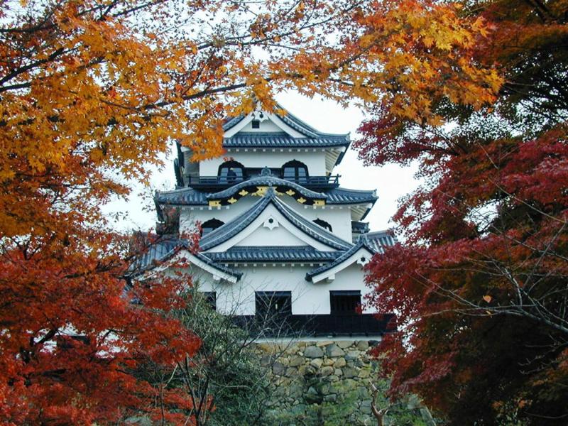 Toyoko Inn Hikone Eki Higashi Guchi image