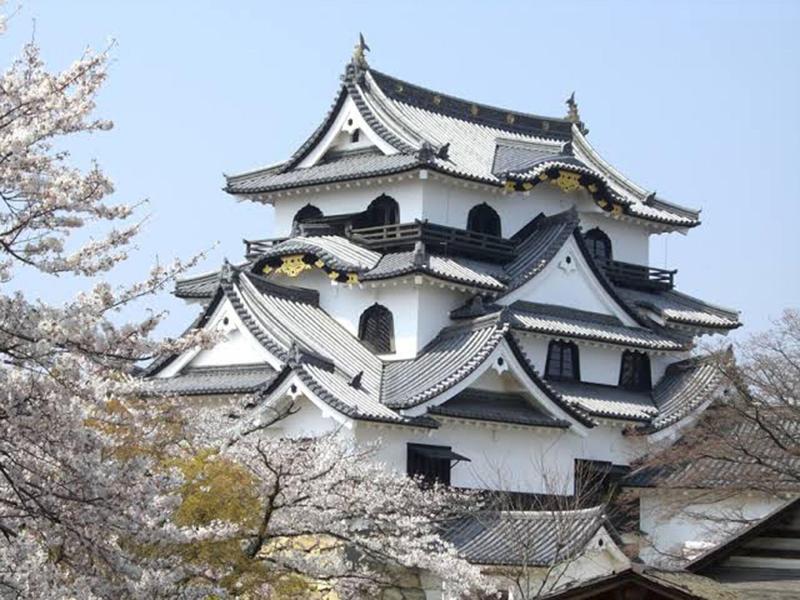 Toyoko Inn Hikone Eki Higashi Guchi image