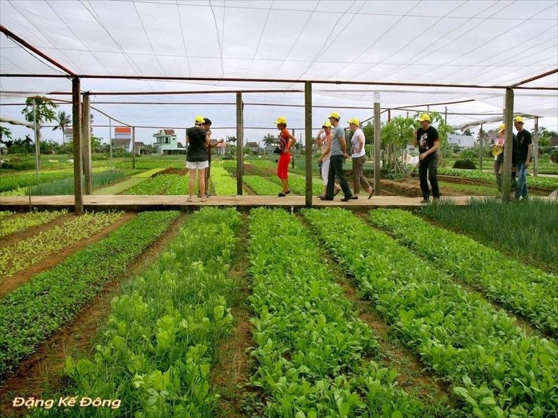Dong Nguyen Homestay Riverside image