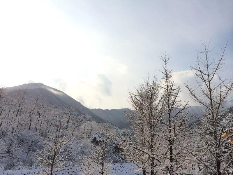 Smile Guesthouse