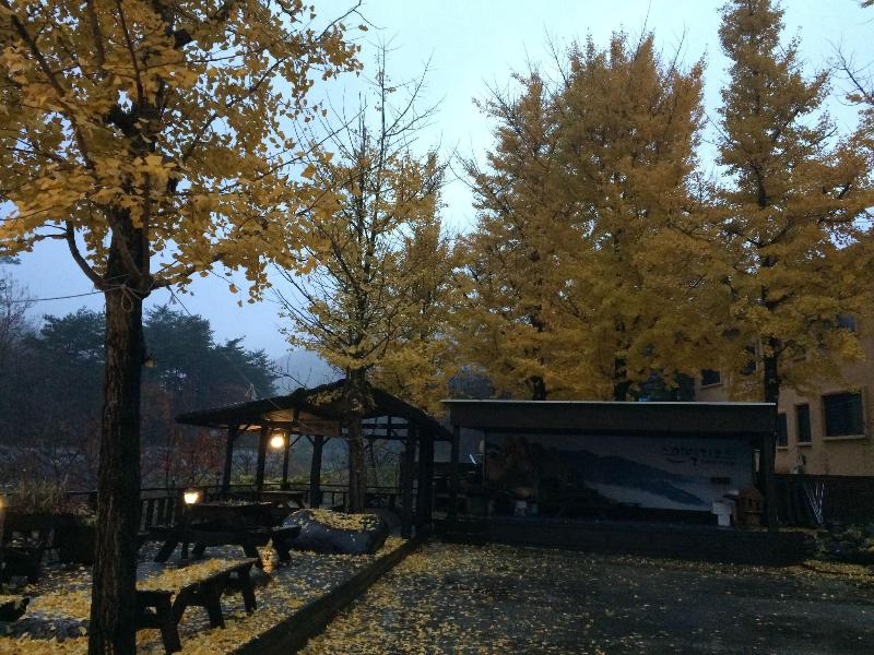 Smile Guesthouse — photo 7