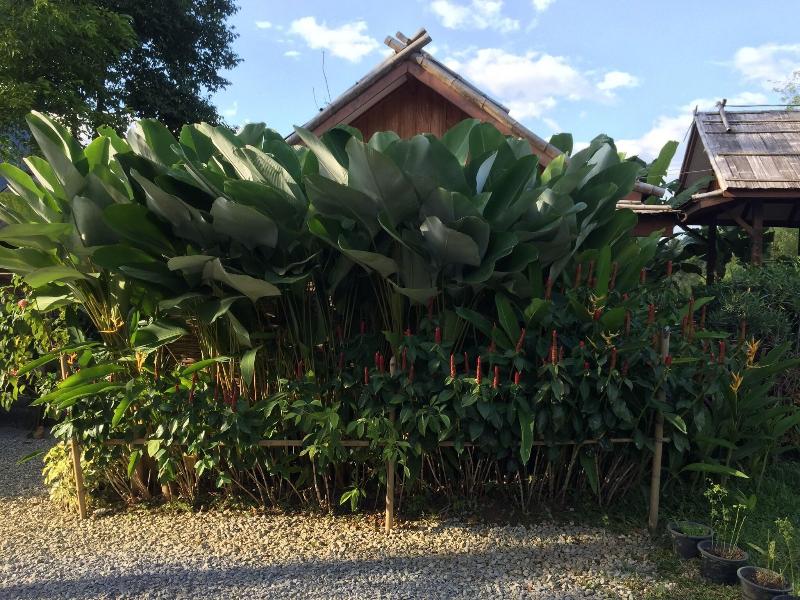 Phoxay Ngam Resort image