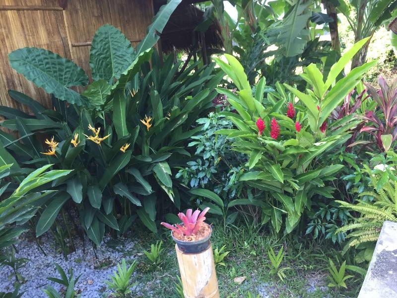 Phoxay Ngam Resort image