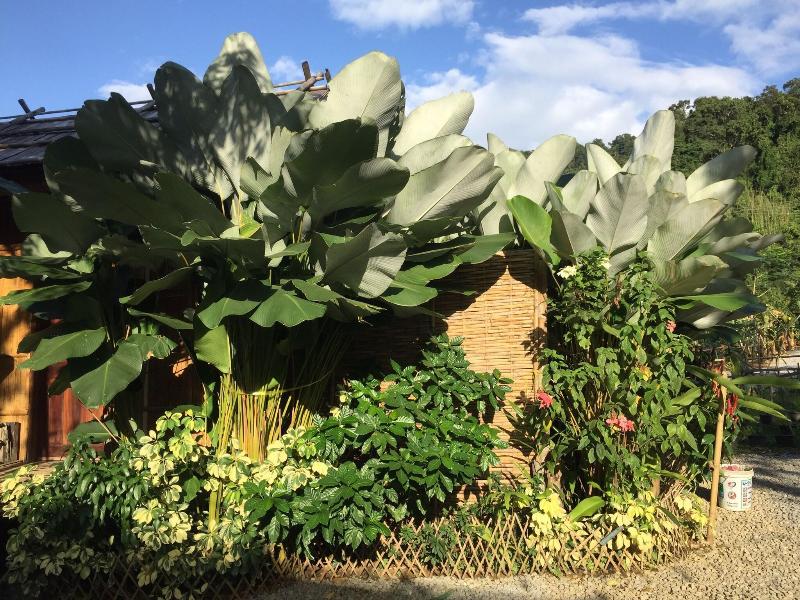 Phoxay Ngam Resort image