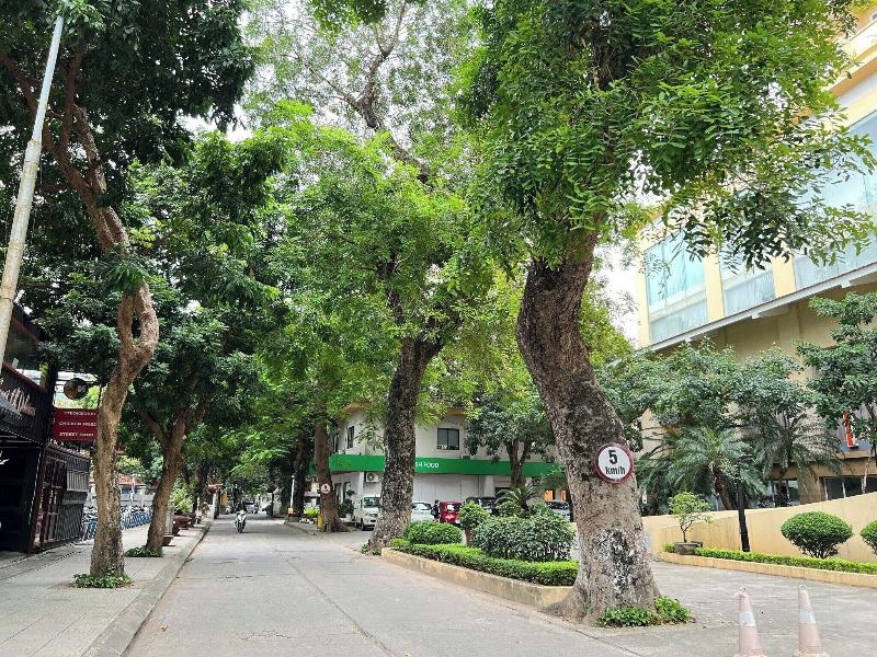 Quang Ba Trade Union Hotel image