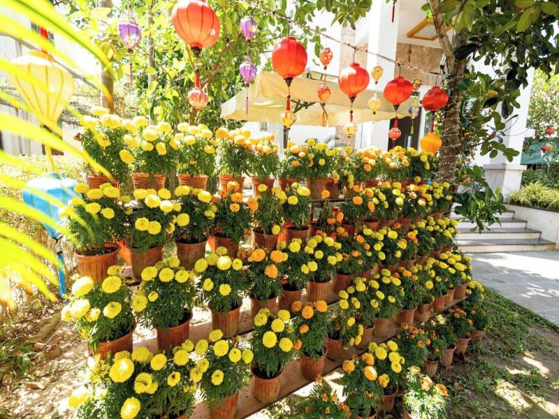 Chi Thanh Villa