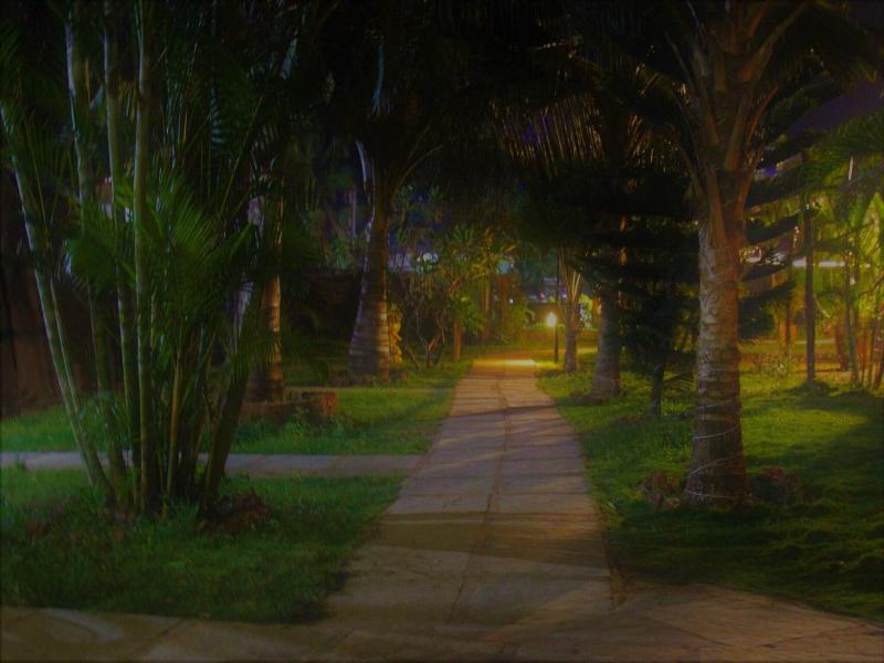 Lotus Sutra Beachside Abode image