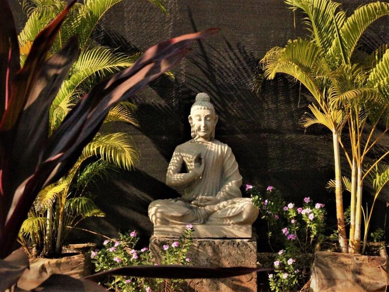 Lotus Sutra Beachside Abode image