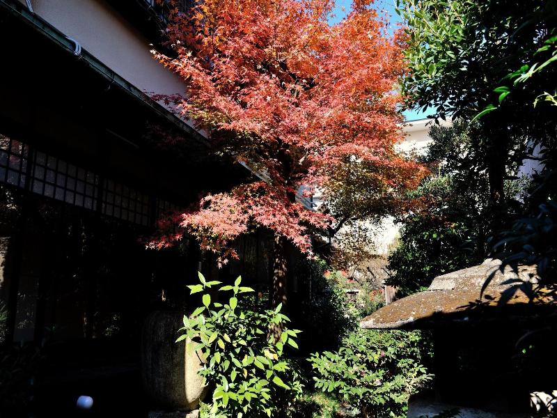 Yadoya Nishijinso Hotel image
