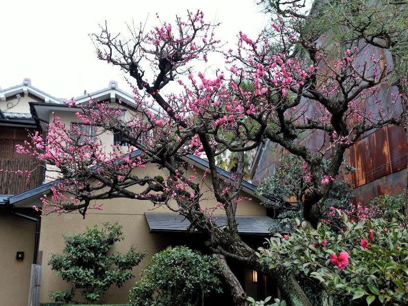 Yadoya Nishijinso Hotel image