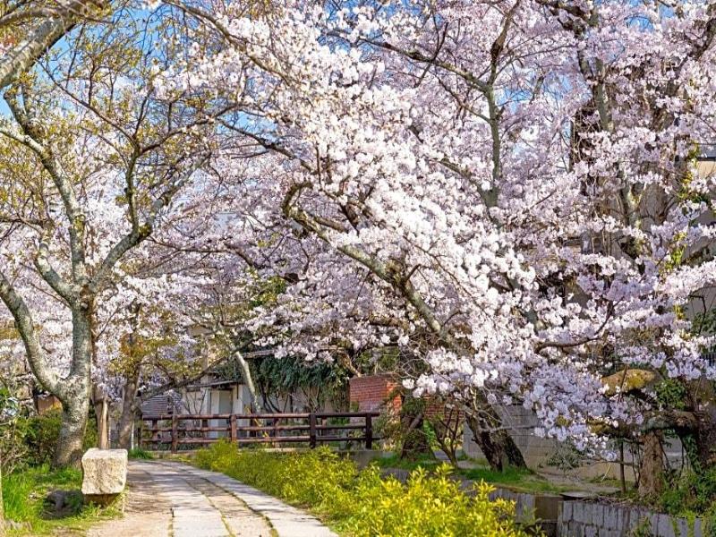 Marikoji Inn Kyoto — general view