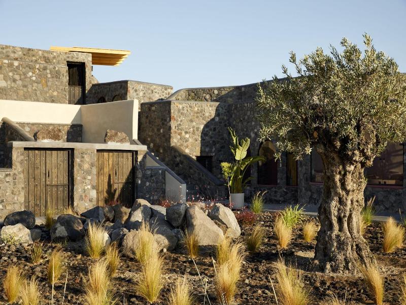 White Pearl Cavalieri image