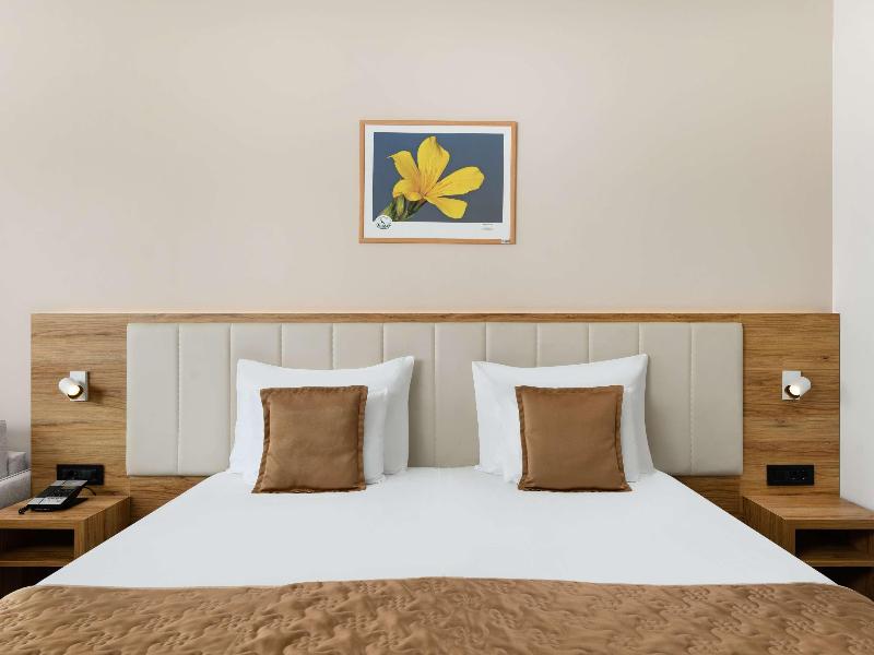 Movenpick Resort & Spa Fruske Terme image