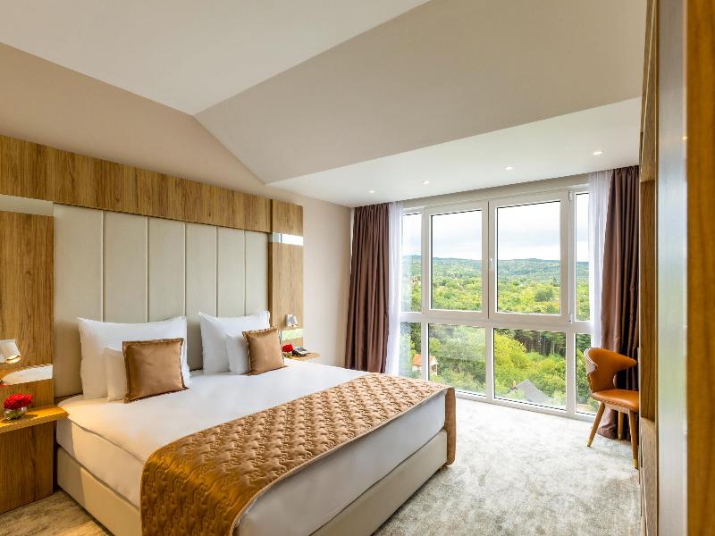 Movenpick Resort & Spa Fruske Terme image