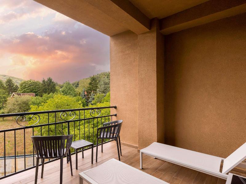 Movenpick Resort & Spa Fruske Terme image