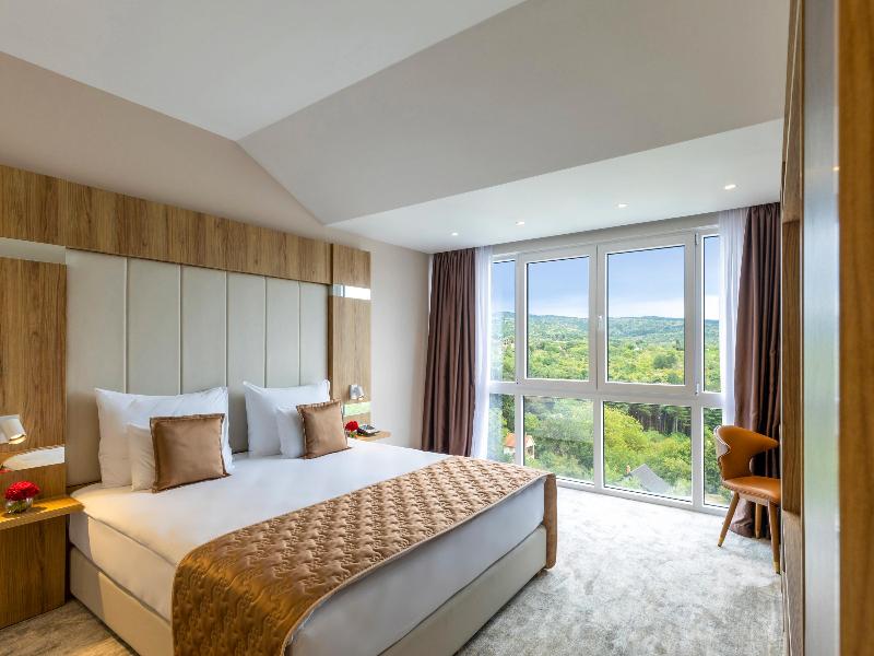 Movenpick Resort & Spa Fruske Terme image