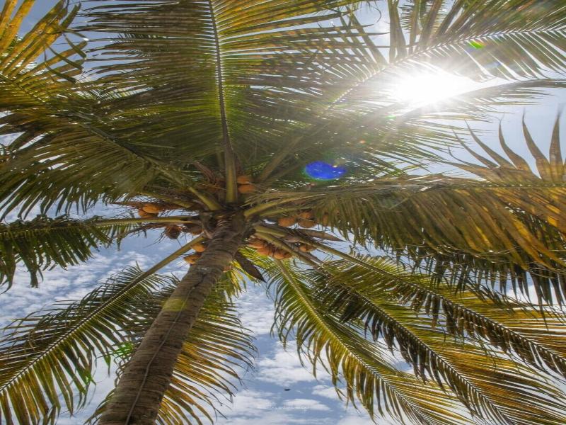 Ndame Beach Lodge image
