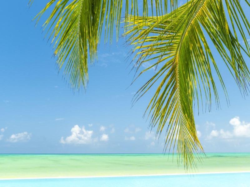 Ndame Beach Lodge image