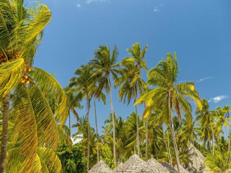 Ndame Beach Lodge image