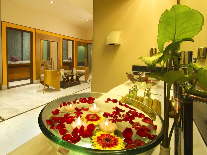 The Piccadily Hotel Lucknow image