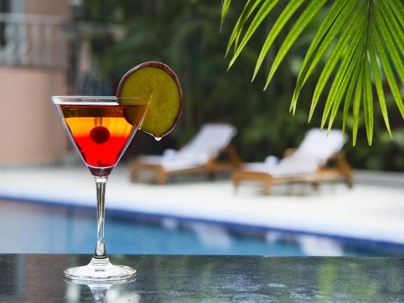 The Piccadily Hotel Lucknow image