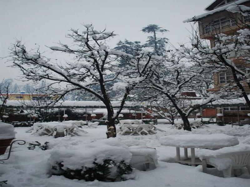 The Manali Inn image