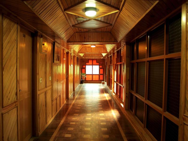 The Manali Inn image