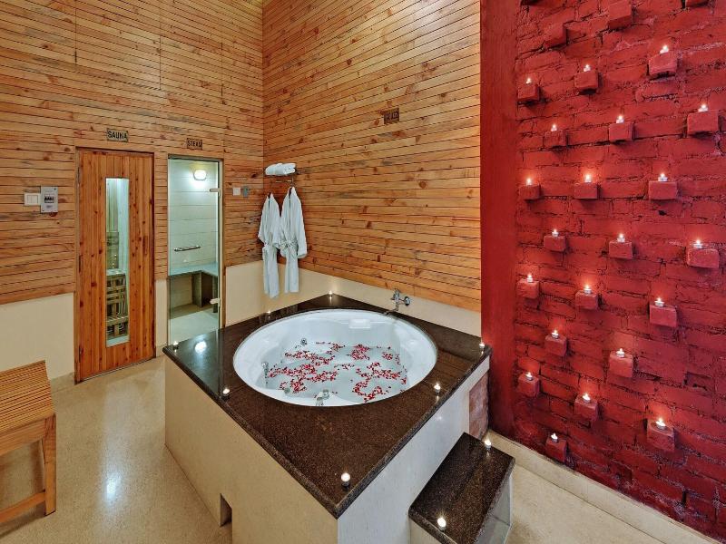 The Manali Inn image