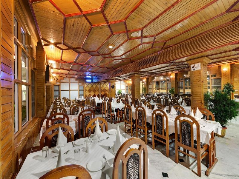 The Manali Inn image