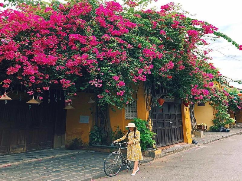 Villa De Campagne Hoi An image