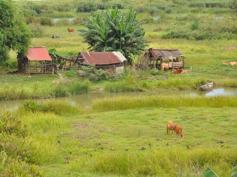 The Quin Riverside Villa image
