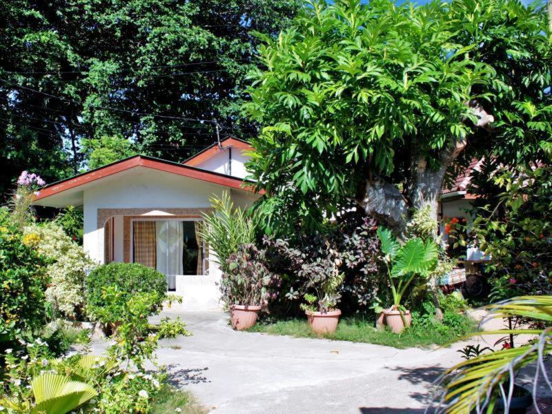 Rising Sun Guest House — photo 7