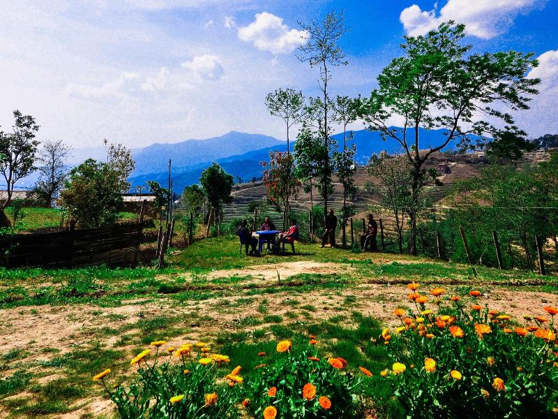 Mount Paradise image