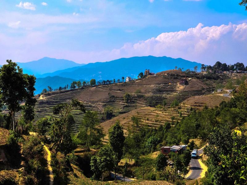 Mount Paradise image