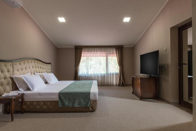 Villa Magus image