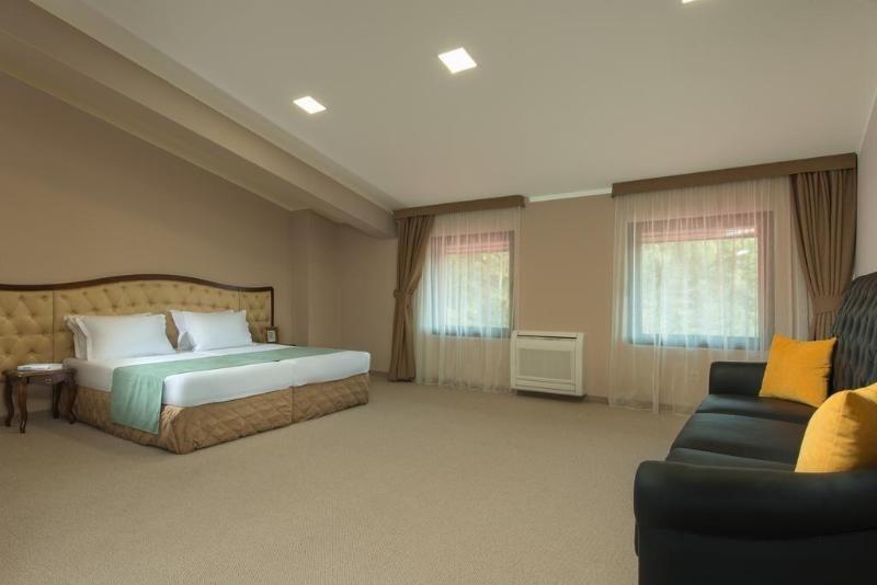 Villa Magus image