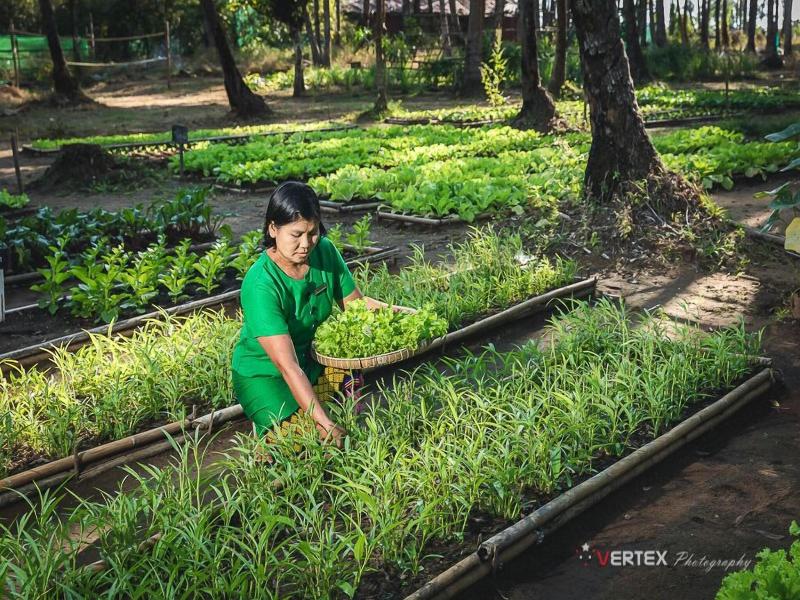 Eskala Hotels Resorts Ngwe Saung image