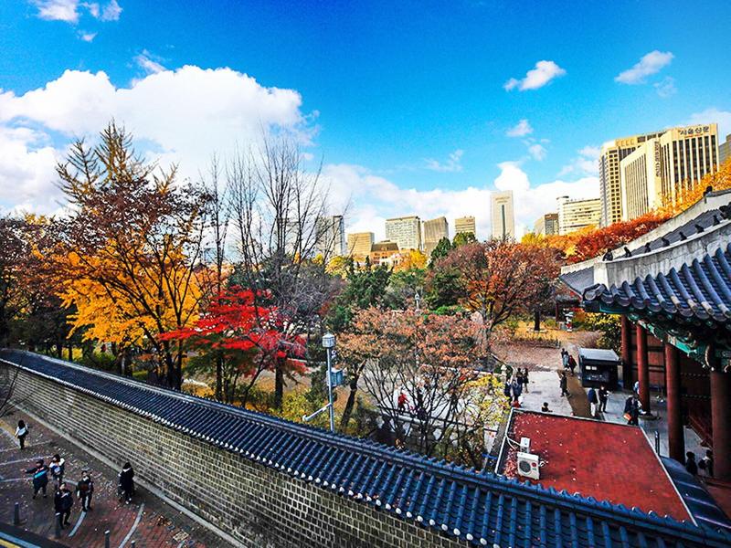 24 Guesthouse Seoul City Hall image