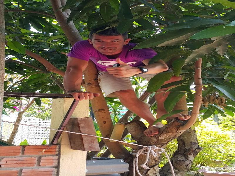 Mango Garden Homestay image