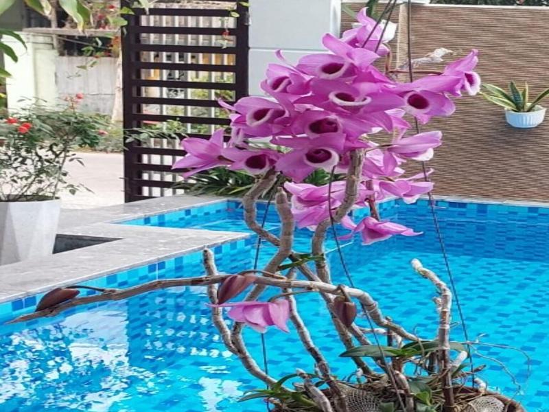 Riverlife Homestay Hoi An image