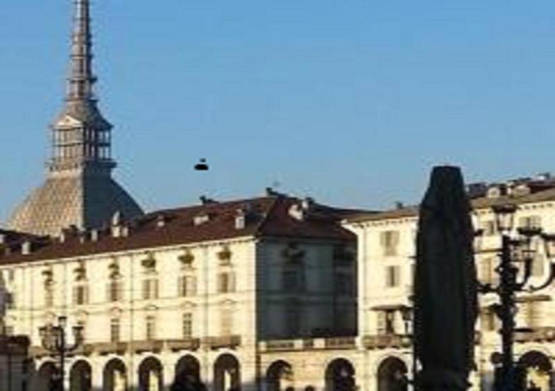 Gioia 11 image