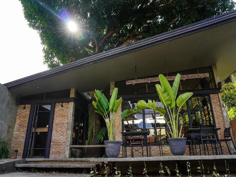The Flying Fish Hostel image