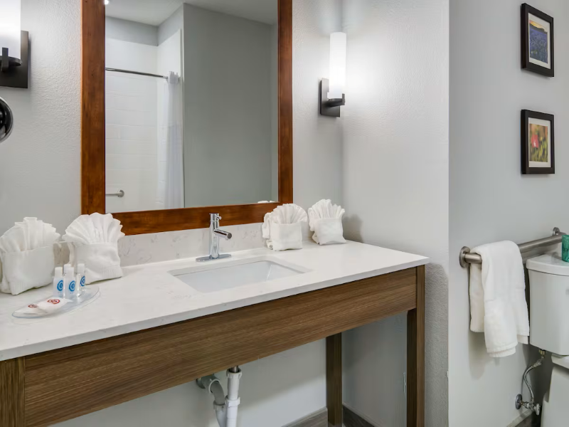 Comfort Suites Desoto Dallas South image