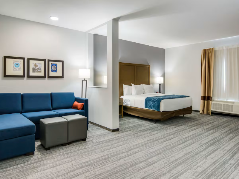 Comfort Suites Desoto Dallas South image