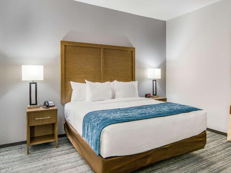 Comfort Suites Desoto Dallas South image