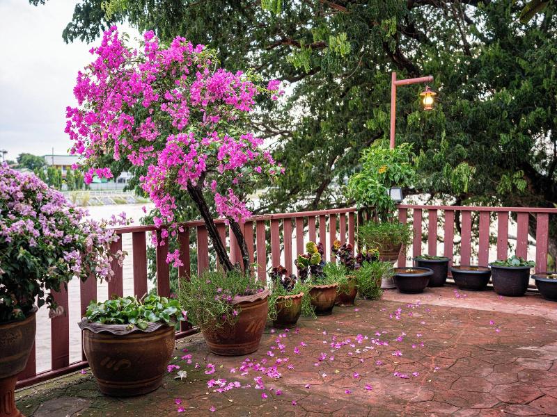Athithara Homestay image