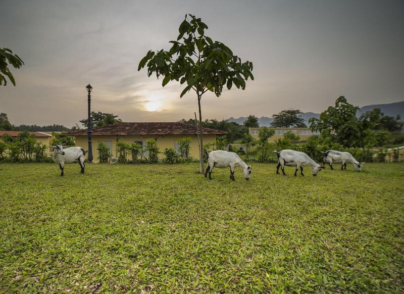 Dvara Resort - Siruvani image