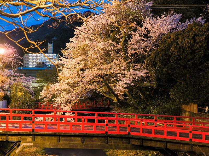 Forest Resort Yumoto Komachikan image