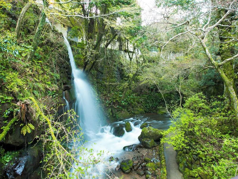 Forest Resort Yumoto Komachikan image